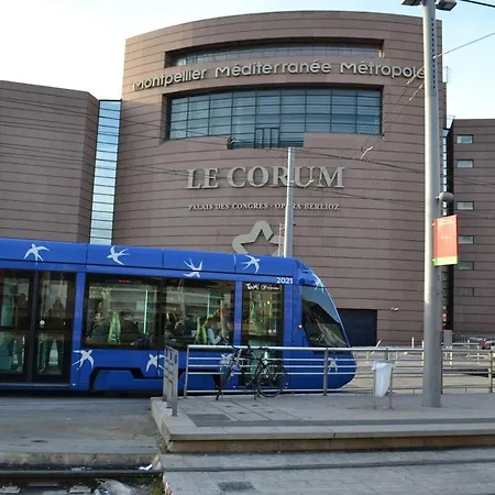 Daire Le Platanier - Centre Montpellier