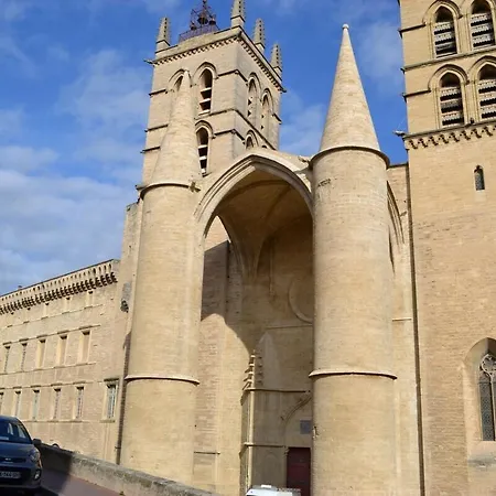 Le Platanier - Centre Montpellier